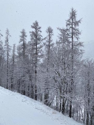 Joli Studio Montagne Au Pied Des Pistes Ла-Фу Экстерьер фото
